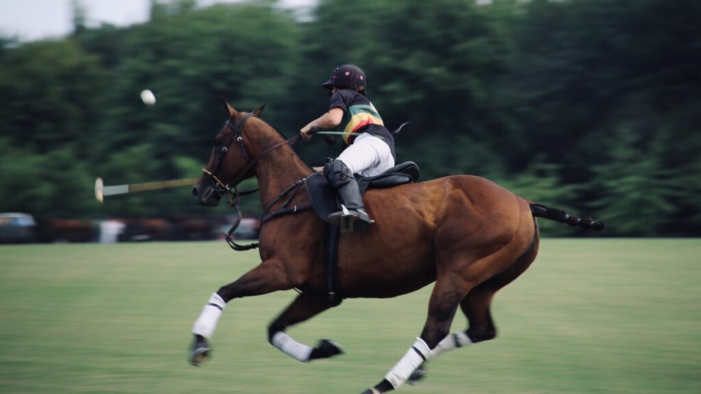 The Allure of Sports Polo: Style Meets Performance